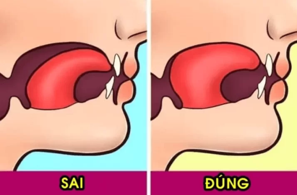 Đặt toàn bộ mặt lưỡi nhẹ nhàng áp sát lên vòm miệng