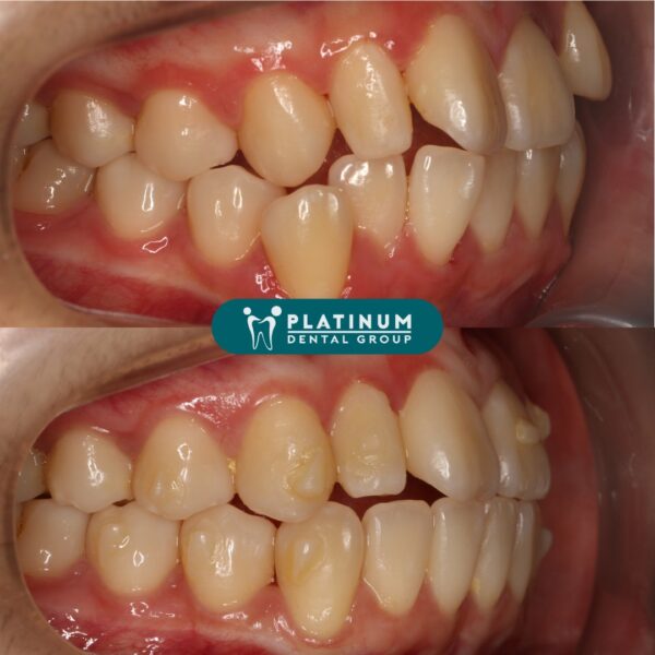 292593691 3225059587734747 6792181933115315823 n