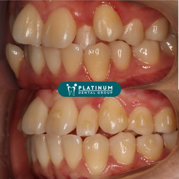 292681572 3225059631068076 1241780388284631886 n