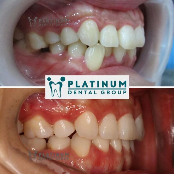 337869305 217332647548529 610964093902423575 n