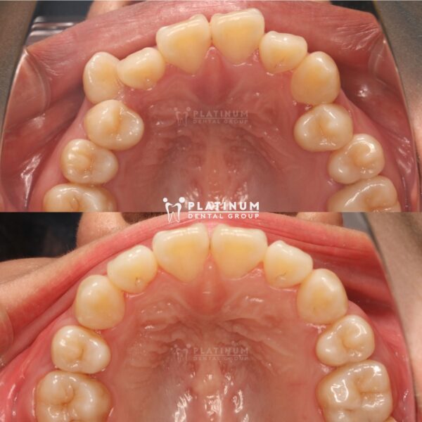 352212107 3559930364227045 2283779448685911911 n