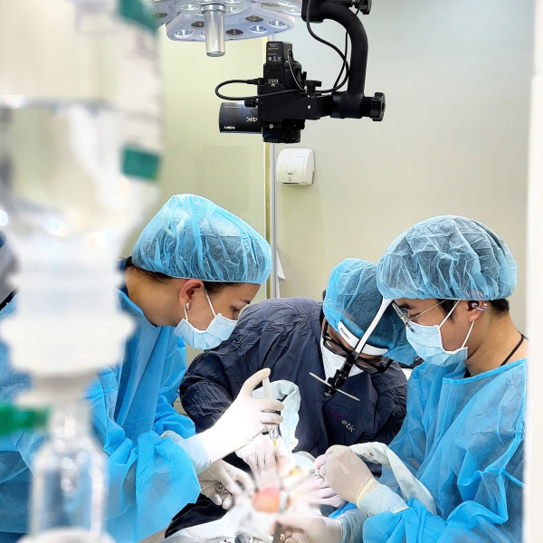 Trồng răng Implant All On 4 - Giải pháp phục hồi răng toàn hàm hiệu quả 10 Platinum Dental Group đầu tư hệ thống trang thiết bị tiêu chuẩn châu Âu, hỗ trợ tối đa cho quy trình trồng răng toàn hàm