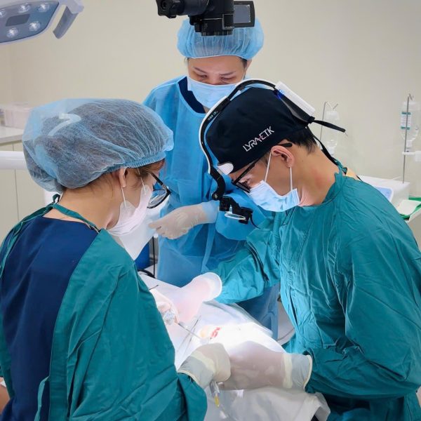 The dentist is the key factor that determines whether you experience little or significant discomfort during dental Implant surgery