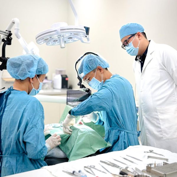 Immediate Implants shorten treatment, preserve bone, and restore smiles instantly