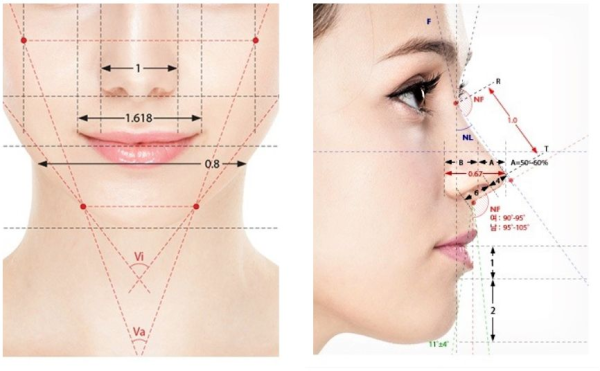 Phẫu thuật tạo hình khuôn mặt (Facial Contouring Surgery)