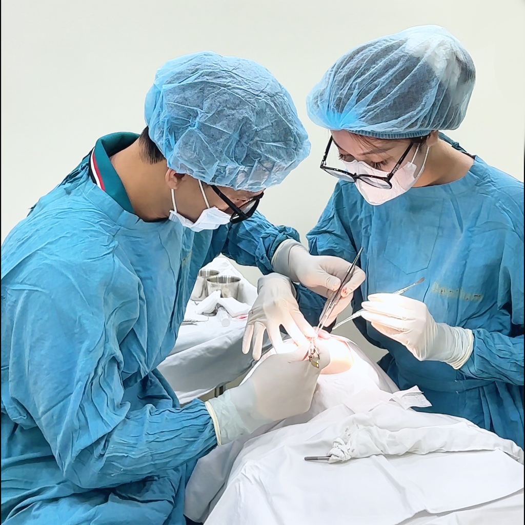 Tái khám đúng lịch hẹn là bước quan trọng giúp bác sĩ theo dõi sát sao tình trạng hồi phục và độ ổn định của trụ Implant